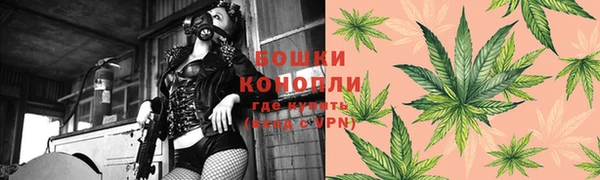 метадон Богородицк