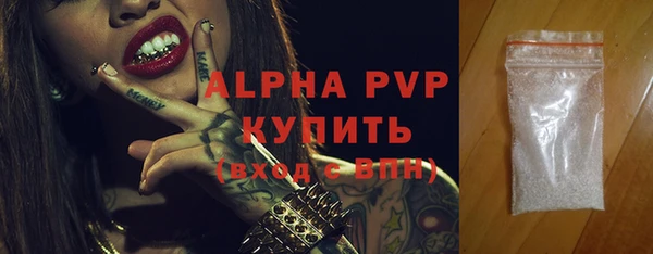 дмт Богданович