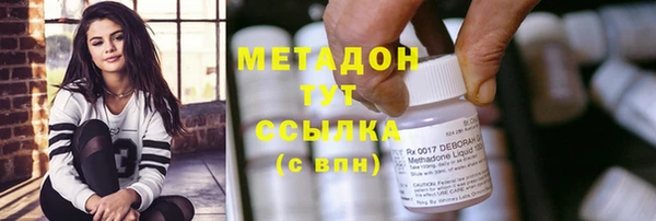 дмт Богданович