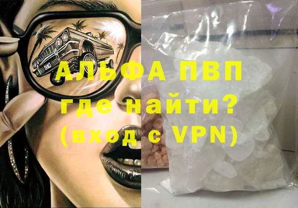 дмт Богданович