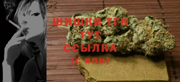 дмт Богданович