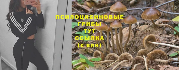 метадон Богородицк