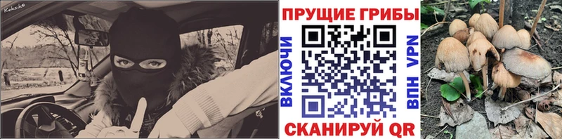 darknet телеграм  Подольск  Галлюциногенные грибы мицелий  купить закладку 